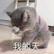 合適油皮用的防曬霜品牌(合適油皮用的防曬霜品牌)