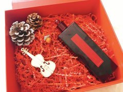 資生堂防曬霜旗下品牌(資生堂護膚品防曬系列)