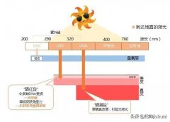 比較好用的醫(yī)美防曬霜品牌(醫(yī)美防曬排行榜)