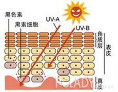 品牌防曬霜推薦女款(品牌防曬霜推薦女款圖片)