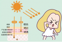 防曬霜女士專用品牌(國內(nèi)品牌防曬霜)