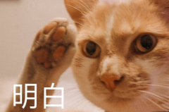 品牌防曬霜控油(控油的防曬霜)