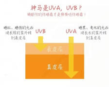母嬰防曬霜推薦品牌排行榜(嬰兒防曬霜排行榜10強牌)