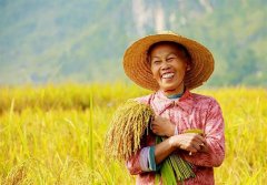 防曬霜品牌防紫外線噴霧(防曬噴霧防曬果)