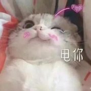 大童夏季防曬霜推薦品牌(兒童防曬霜哪個(gè)牌子)