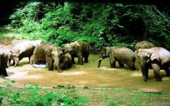 適合西雙版納的防曬霜品牌(西雙版納防曬霜需要帶幾個+的)