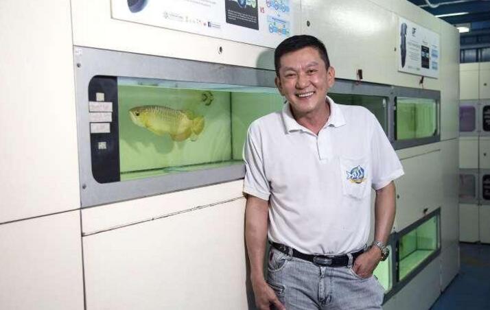 新加坡流行龍魚(yú)整形：把魚(yú)敲暈再提眼角、墊下巴，買家愿出高價(jià)