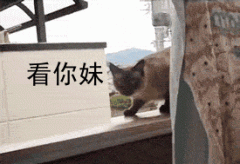 額頭傷疤整形需要多少錢(額頭整形術(shù)要多少錢)