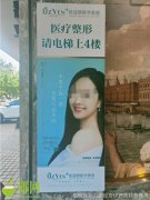 臉部整形大概要花多少費(fèi)用(臉部整形需要多少費(fèi)用)