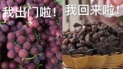 紹興好的防曬霜品牌是哪個(gè)(國內(nèi)十大的防曬霜)