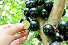 春冬防曬霜平價(jià)品牌(秋冬季防曬霜推薦)