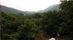 新余整形專家費用多少錢(新余整形專家費用多少錢一次)