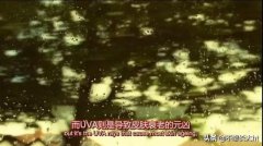 張柏芝品牌防曬霜怎么樣(張柏芝防曬霜好用嗎)