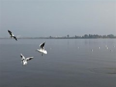 瓊海的防曬霜品牌有那些(去海南用什么牌子的防曬霜)