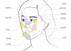 徒手整形價格多少合理(徒手整形果圖)