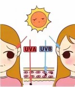 昆明防曬霜平價(jià)品牌推薦(價(jià)格親民的防曬霜哪個(gè)好)