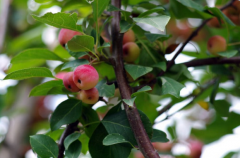 京科整形多少錢(京山整形醫(yī)院)