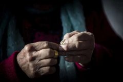 唐山貓咪整形價(jià)格多少啊(唐山寵物貓)