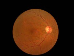 武漢協(xié)和整形隆胸價(jià)格多少(武漢協(xié)和整形隆胸價(jià)格多少錢)