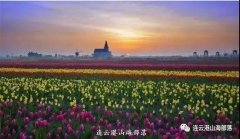 連云港市防曬霜品牌有哪些(連云港市防曬霜品牌有哪些店)