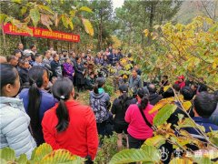 羅平整形多少錢(羅平人流多少錢)