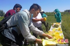 新疆防曬霜排名前十品牌(十大防曬霜品牌排行榜)