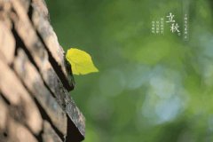 泰州防曬霜有哪些系列品牌(泰州防曬霜有哪些系列品牌的)