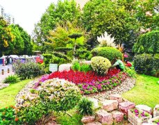 合肥微整形要多少錢(合肥整形費用)