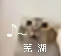 14元防曬霜推薦平價(jià)品牌(比較好的防曬霜推薦,平價(jià)一點(diǎn))
