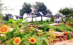 徐州學(xué)微整形多少錢(徐州微美整形)