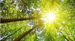 防曬霜 物理 有哪些品牌